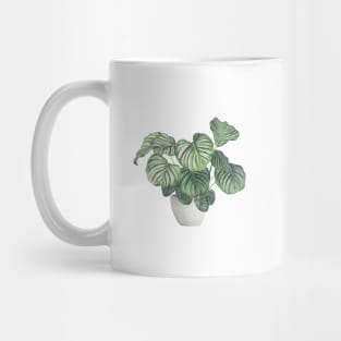 Potted Calathea Plant Mug